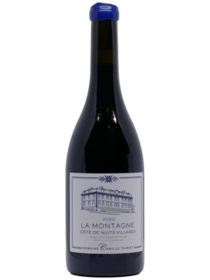Thiriet06-01 Camille Thiriet "La Montagne" 2022